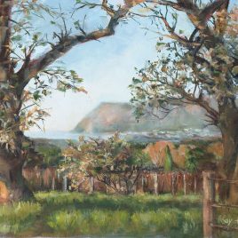 Alexander Art Academy | Oceana Exhibition | Kay Du Toit - View towards Fish Hoek from Groote Constantia Vineyard