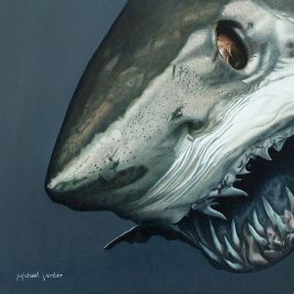 Alexander Art Academy | Oceana Exhibition | Michael Venter - Snack Attack