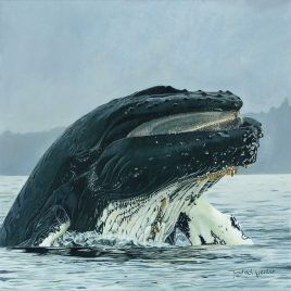 Alexander Art Academy | Oceana Exhibition | Michael Venter - Whale Breaching
