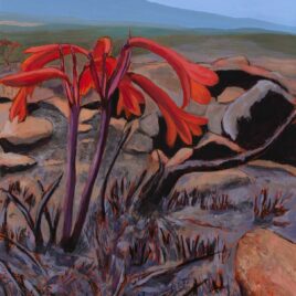 Alexander Art Academy Showcase 2026 | Bridget Wares | Fire Lily After the Fire