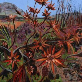 Alexander Art Academy Showcase 2026 | Bridget Wares | Leucadendron After Fire