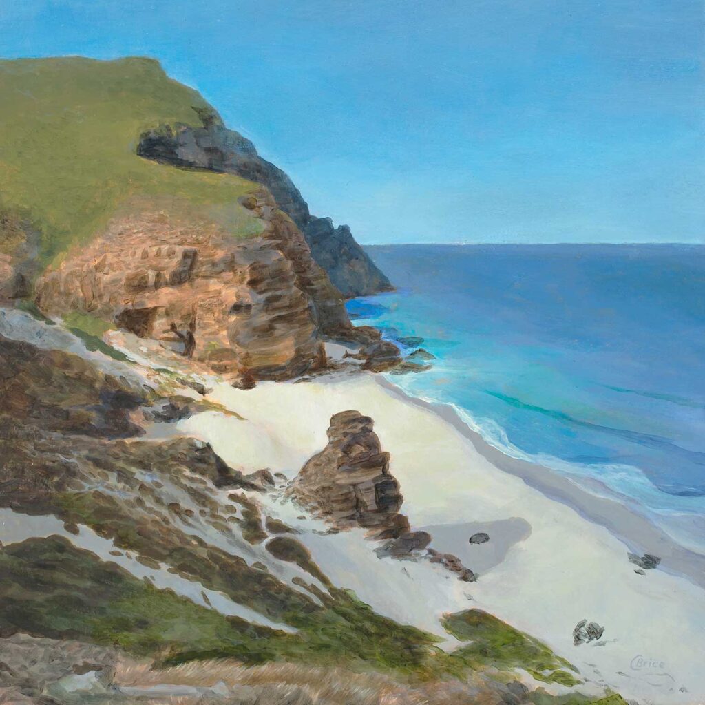 Alexander Art Academy Showcase 2026 | Coleen Brice | Shadowed Beach Cape Point