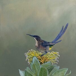 Alexander Art Academy Showcase 2026 | Alison Cox | Sweet Nectar