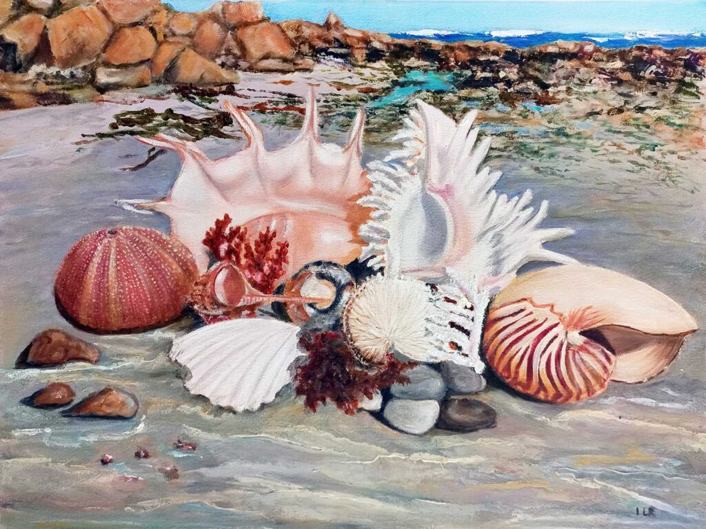 Alexander Art Academy Showcase 2026 | Ingrid Le Roux | Seashells on the Seashore I