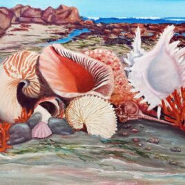 Alexander Art Academy Showcase 2026 | Ingrid Le Roux | Seashells on the Seashore II