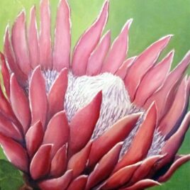 Alexander Art Academy Showcase 2026 | Lee Vestey | Protea