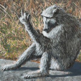 Alexander Art Academy Showcase 2026 | Luca Rautenbach | The Baboon’s Reply