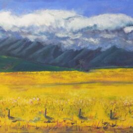 Alexander Art Academy Showsace 2026 | Meg Ernstzen | Overberg Gold