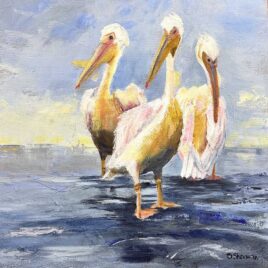 Alexander Art Acdemy Showcase 2026 | Sue Sherman | Pelicans