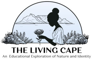 Alexander Art Academy | The Living Cape Showcase 2026 | Logo